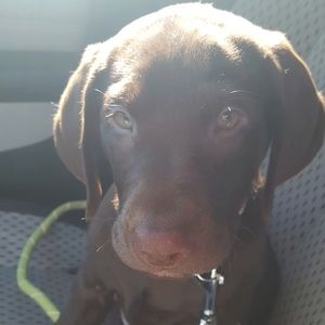 Meet your Posher, Elisabeth